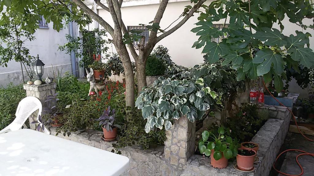 Guest House Mirza Mostar Exteriér fotografie